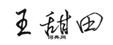 骆恒光王甜田行书个性签名怎么写