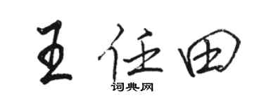 骆恒光王任田行书个性签名怎么写