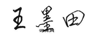 骆恒光王墨田行书个性签名怎么写