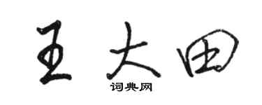 骆恒光王大田行书个性签名怎么写