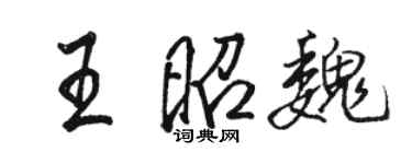 骆恒光王昭魏行书个性签名怎么写