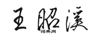 骆恒光王昭溪行书个性签名怎么写