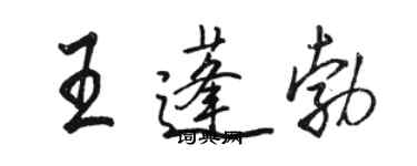 骆恒光王蓬勃行书个性签名怎么写