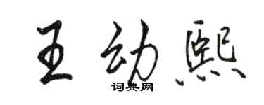 骆恒光王幼熙行书个性签名怎么写