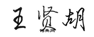 骆恒光王贤胡行书个性签名怎么写