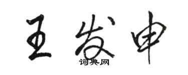 骆恒光王发申行书个性签名怎么写