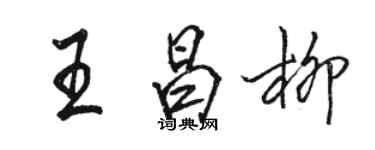 骆恒光王昌柳行书个性签名怎么写