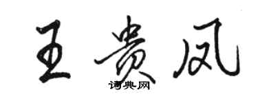 骆恒光王贵凤行书个性签名怎么写