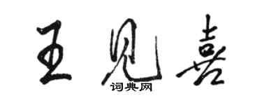 骆恒光王见喜行书个性签名怎么写