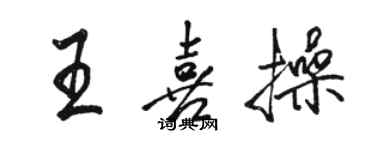 骆恒光王喜操行书个性签名怎么写