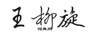 骆恒光王柳旋行书个性签名怎么写