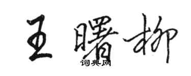 骆恒光王曙柳行书个性签名怎么写