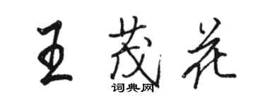 骆恒光王茂花行书个性签名怎么写