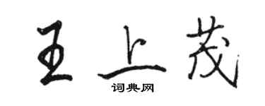 骆恒光王上茂行书个性签名怎么写