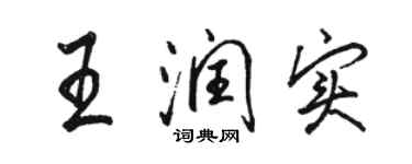 骆恒光王润实行书个性签名怎么写
