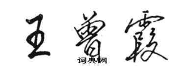 骆恒光王曾霞行书个性签名怎么写