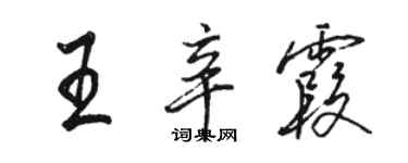 骆恒光王辛霞行书个性签名怎么写