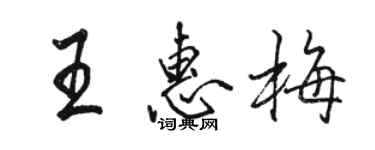 骆恒光王惠梅行书个性签名怎么写