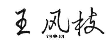骆恒光王风枝行书个性签名怎么写