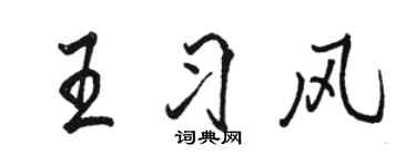 骆恒光王习风行书个性签名怎么写