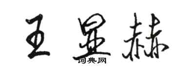 骆恒光王显赫行书个性签名怎么写