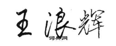骆恒光王浪辉行书个性签名怎么写