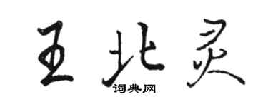 骆恒光王北灵行书个性签名怎么写