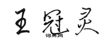 骆恒光王冠灵行书个性签名怎么写