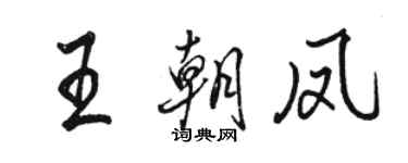骆恒光王朝凤行书个性签名怎么写
