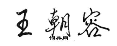 骆恒光王朝容行书个性签名怎么写