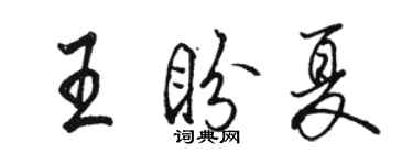 骆恒光王盼夏行书个性签名怎么写