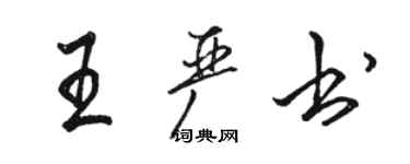 骆恒光王严书行书个性签名怎么写