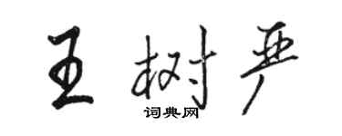 骆恒光王树严行书个性签名怎么写