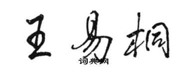 骆恒光王易桐行书个性签名怎么写