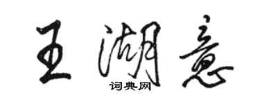 骆恒光王湖意行书个性签名怎么写