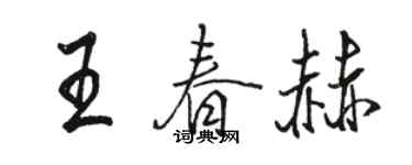 骆恒光王春赫行书个性签名怎么写
