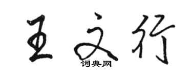 骆恒光王文行行书个性签名怎么写