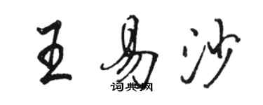 骆恒光王易沙行书个性签名怎么写