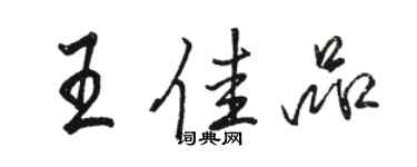 骆恒光王佳品行书个性签名怎么写