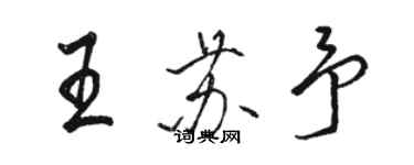 骆恒光王苏予行书个性签名怎么写