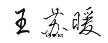 骆恒光王苏暖行书个性签名怎么写