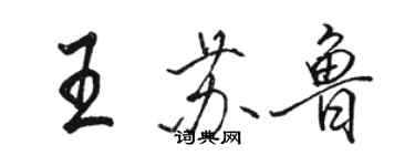 骆恒光王苏鲁行书个性签名怎么写