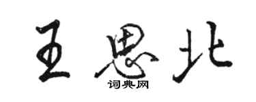 骆恒光王思北行书个性签名怎么写