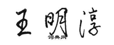 骆恒光王明淳行书个性签名怎么写
