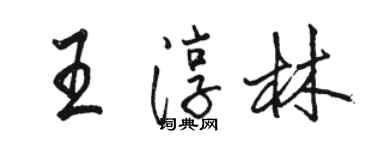 骆恒光王淳林行书个性签名怎么写