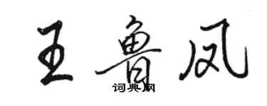 骆恒光王鲁凤行书个性签名怎么写