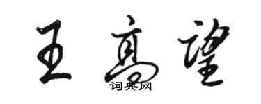 骆恒光王高望行书个性签名怎么写