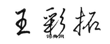 骆恒光王彩拓行书个性签名怎么写