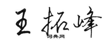 骆恒光王拓峰行书个性签名怎么写
