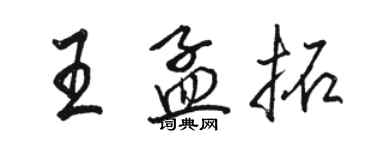 骆恒光王孟拓行书个性签名怎么写